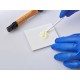Συγκολλητικός παράγοντας BJM LAB High-Q-Bond πολλαπλών χρήσεων